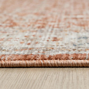 Distressed Oriental Terracotta Area Rug, Vintage Style Living Room Carpet