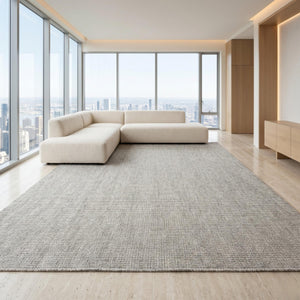 Light Gray Woven Textured Area Rug, Minimalist Scandinavian Floor Carpet