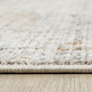 Distressed Traditional Area Rug, Beige Ivory Living Room Carpet, Soft Washable Look