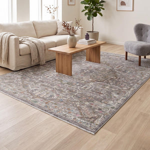 Distressed Medallion Area Rug, Oriental Boho Multicolor Living Room Carpet