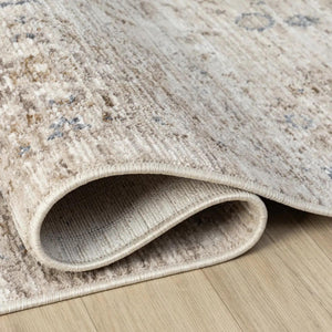 Distressed Traditional Area Rug, Beige Grey Living Room Carpet, Soft Neutral Tones