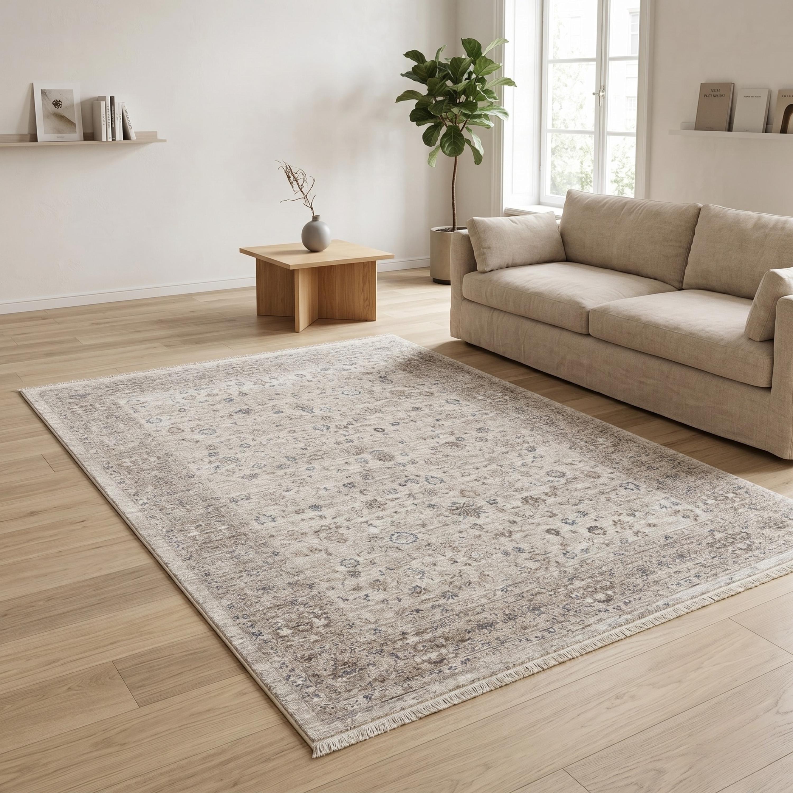 Distressed Traditional Area Rug, Beige Grey Living Room Carpet, Soft Neutral Tones