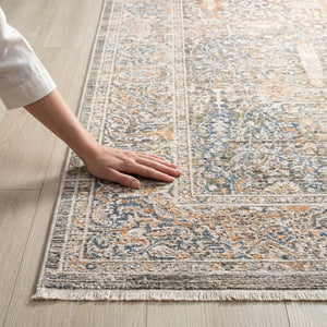 Distressed Beige Area Rug, Vintage Style Living Room Carpet, Soft Grey Ivory Pattern