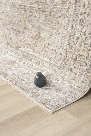 Distressed Traditional Area Rug, Beige Ivory Living Room Carpet, Soft Washable Look
