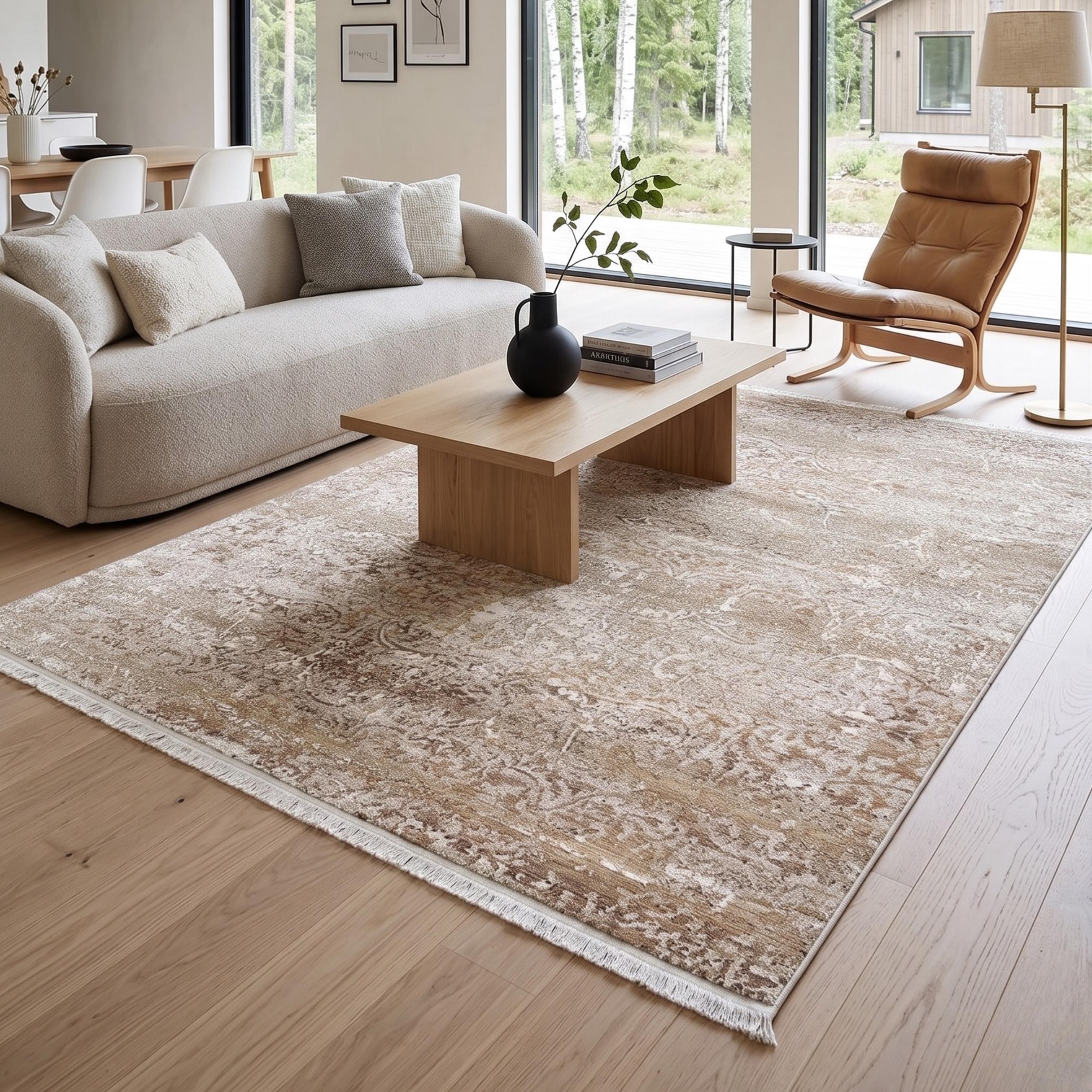 Distressed Traditional Area Rug, Neutral Beige Living Room Carpet, Vintage Farmhouse Style Floor Runner