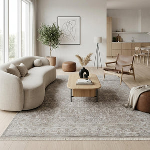 Distressed Grey Beige Area Rug, Neutral Modern Farmhouse Carpet, Soft Living Room Floor Rug