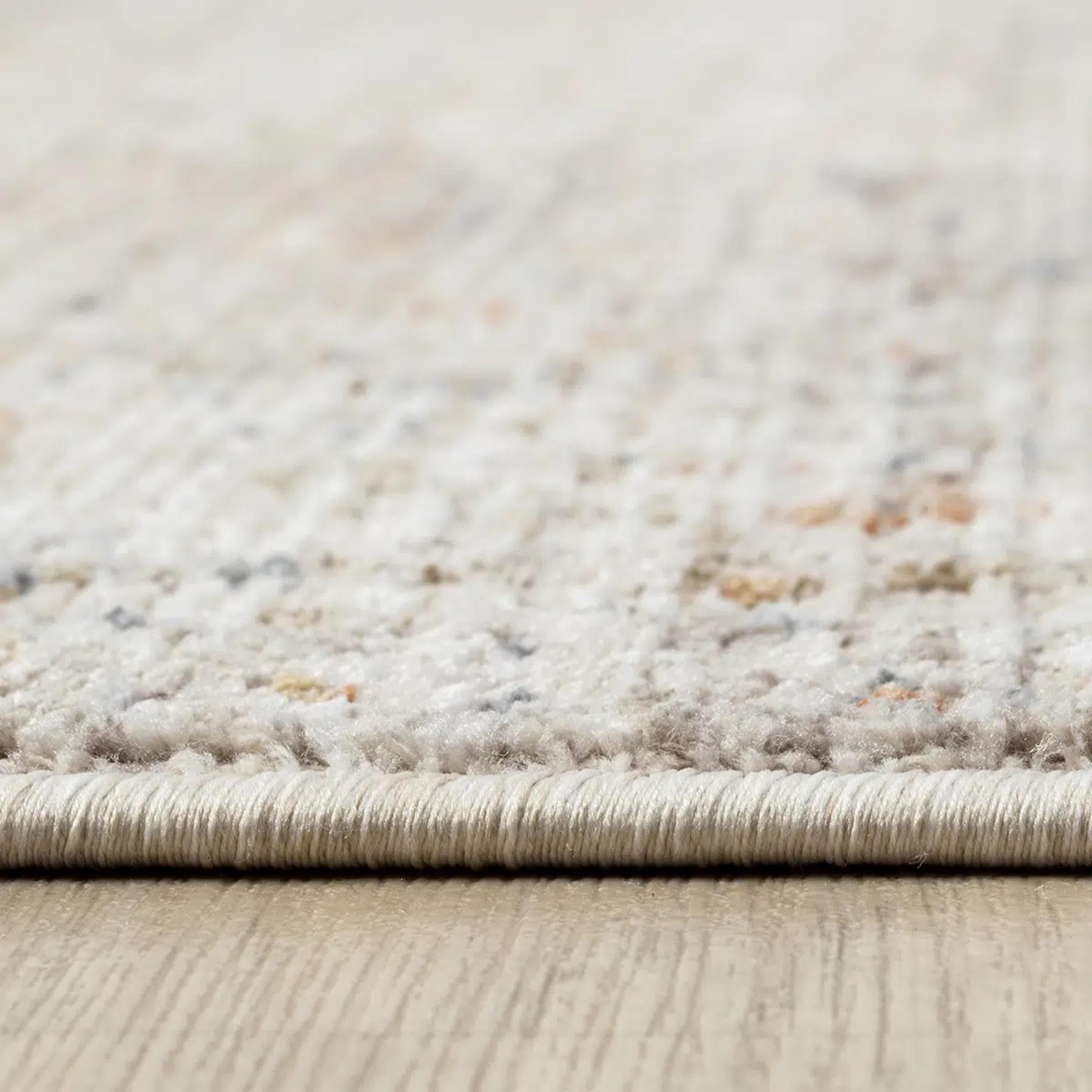 Distressed Traditional Area Rug, Beige Ivory Living Room Carpet, Soft Washable Look