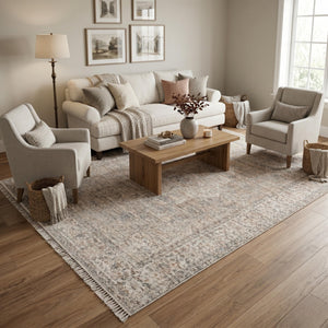 Distressed Traditional Area Rug, Beige Ivory Living Room Carpet, Soft Washable Look