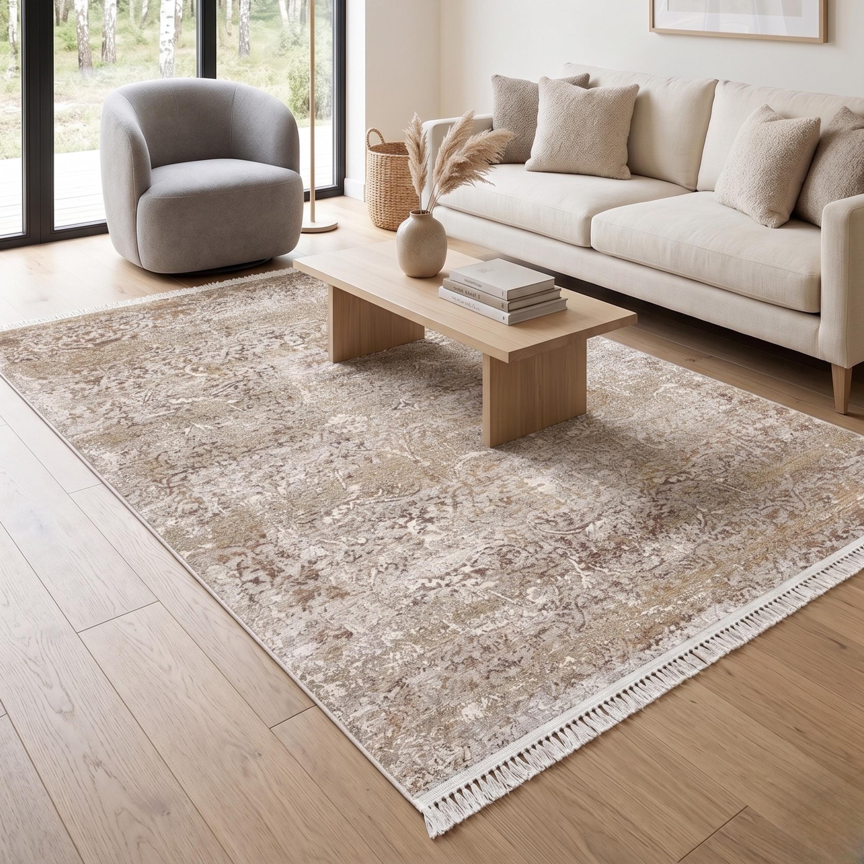 Distressed Traditional Area Rug, Neutral Beige Living Room Carpet, Vintage Farmhouse Style Floor Runner